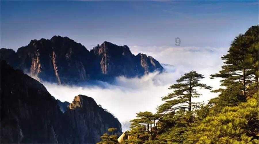 探索为什么国债逆回购操作不了?红迪网平台-分享交流讨论社区